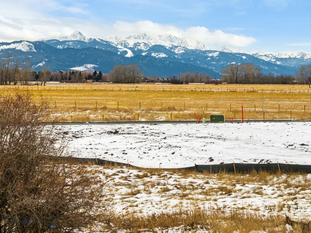 Snowy Meadow Bridge lot with golden grasses and mountain views
